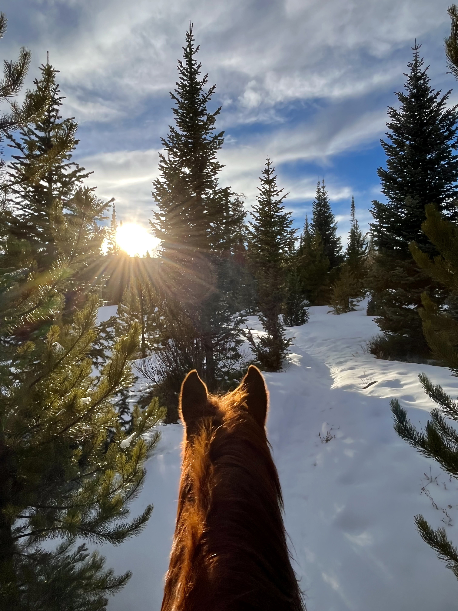 Rocky Mountain Stables trail ride 1