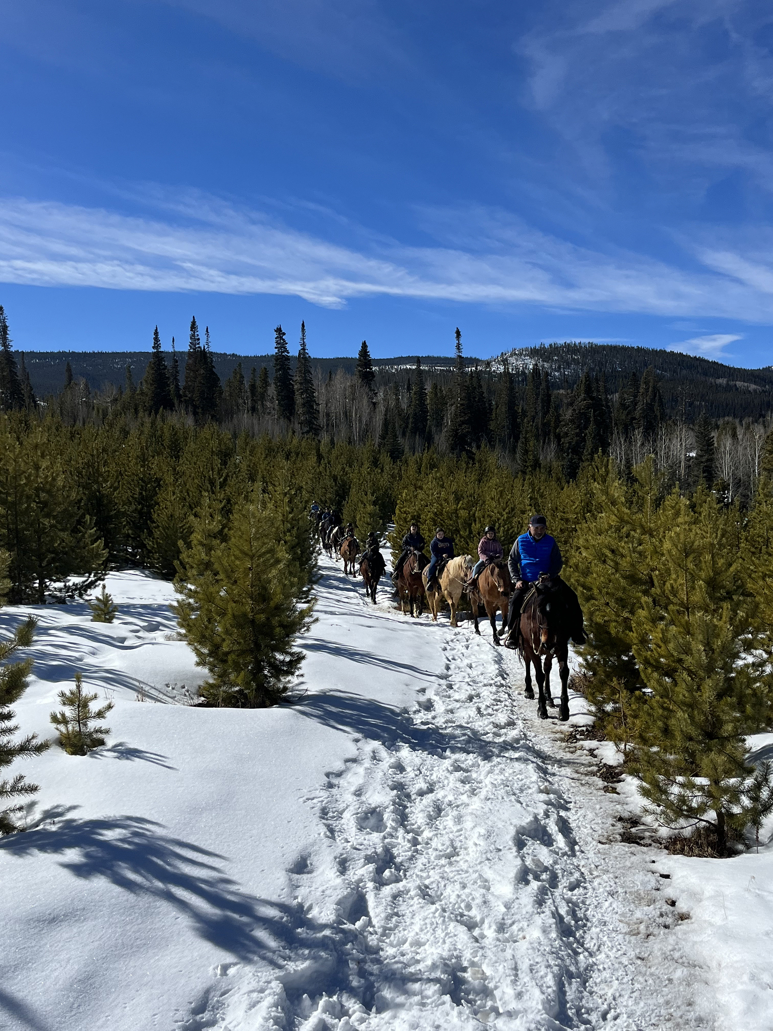 Rocky Mountain Stables trail ride 5