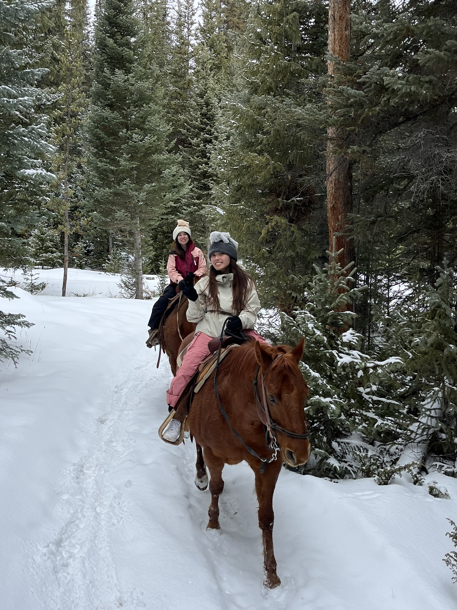 Rocky Mountain Stables trail ride 6